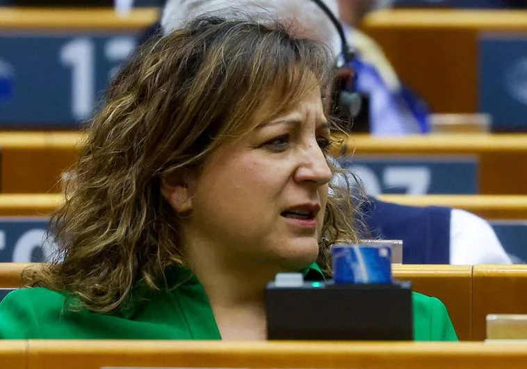 La eurodiputada Iratxe García denuncia pintadas de «puta» y «golfa» cerca de su casa